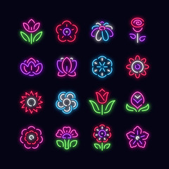 Flowers neon vector icons
