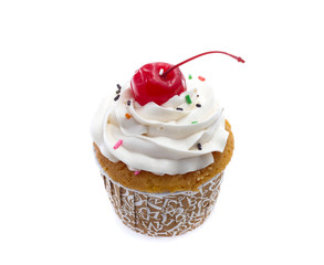 cupcakes isolated on white