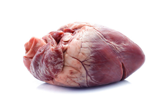 raw pig heart close-up isolated on white background