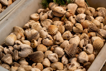 cockles seafood, pile of​ fresh blood cockles top view, cockles or scallop fresh raw shellfish, cockle shells for sale in the market