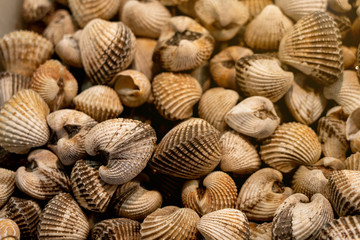 cockles seafood, pile of​ fresh blood cockles top view, cockles or scallop fresh raw shellfish, cockle shells for sale in the market