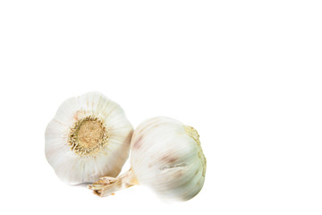 Garlic isolated on white background