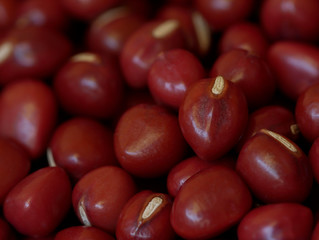 Close-up of Adzuki Beans, Vigna angularis, Selected Focus Food Background