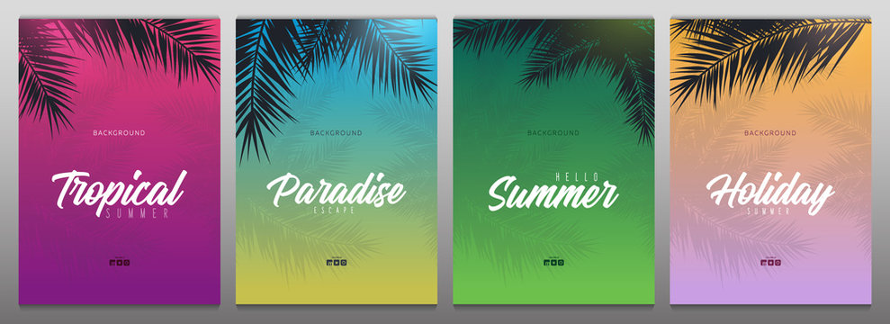 Fototapeta Set of Summer Tropical palm leaves. Exotic palms tree. Floral Backgrounds.