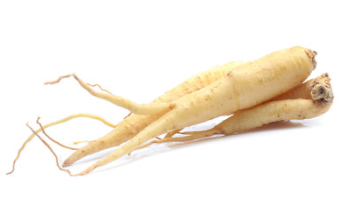 Ginseng isolated on the white background - obrazy, fototapety, plakaty