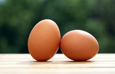 Pair Of Chicken Eggs
