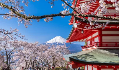 Fototapeten 新倉山浅間公園 満開の桜と富士山 / Scenery of "Arakurayama Sengen Park" where the cherry blossoms are in full bloom. Mt. Fuji, cherry blossoms, and a red five-storied pagoda. © picture cells
