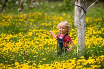 girl walking in a clearing among the flowers