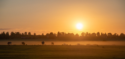 sunset over country fields