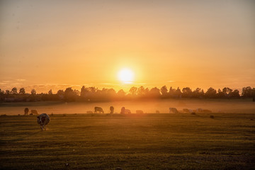 sunset over country fields