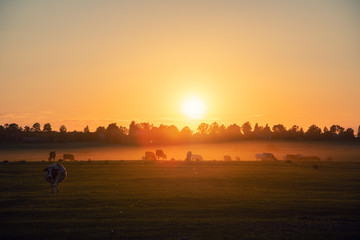 sunset over country fields