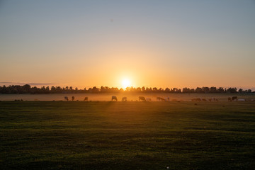 sunset over country fields