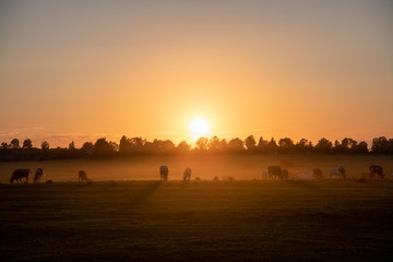 sunset over country fields
