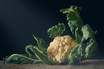 Still life food shoot. Styled by Rhys Murphy © Rowan