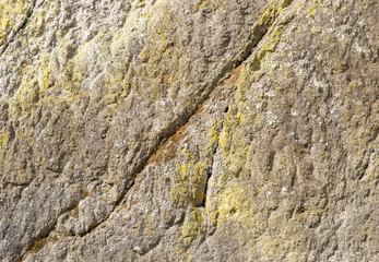 Old gray stone wall with moss.