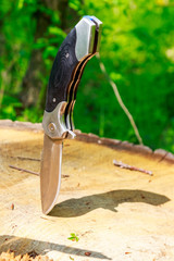 Folding knife sticking out of a wooden stump in green forest