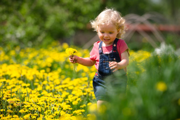 girl walking in a clearing among the flowers