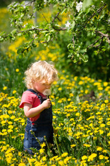 girl walking in a clearing among the flowers