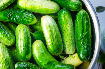 cucumbers in banks, canning process for the winter