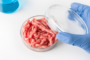 Artificial minced meat in Petri dish in hands scientist. Chemical experiment. Laboratory science studies.