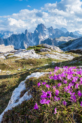 Fototapeta premium Südtirol - Die Drei Zinnen