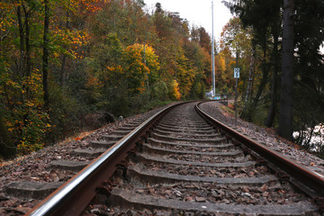Fototapeta na wymiar Railroad tracks next to vibrantly colored trees in autumn