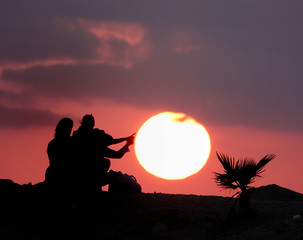 Fototapeta na wymiar silhouette of tree on background of sunset sky