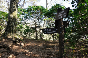 丹沢,天王寺尾根の道