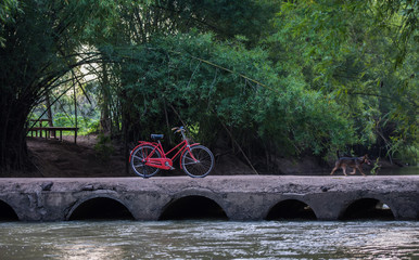 red bike on a bridge over a stream in the forest