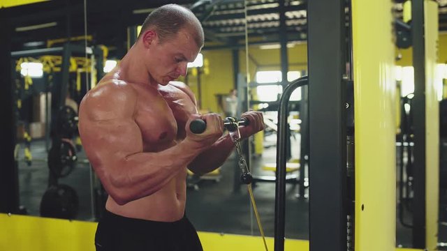 Bodybuilding concept. Muscular man doing cable rope triceps pull up exercise while working out in gym