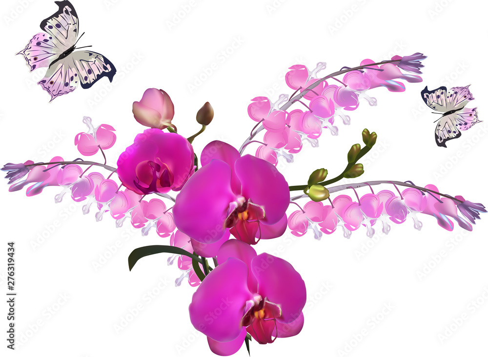 Wall mural pink flowers and two butterflies isolated on white