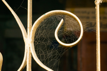 close up of a spider web in a window with a dark blurred background.