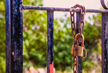 Multi-colored padlocks intertwined