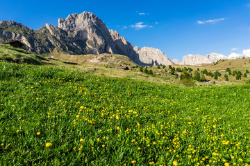 Fototapeta na wymiar Beautiful mountain landscape with a view of the Seceda peak, Dolomites, Italy.