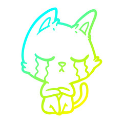 cold gradient line drawing crying cartoon cat sitting