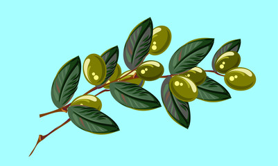 Branch with olives