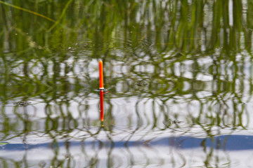 the fishing float sits vertically  in calm water
