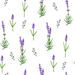 Seamless lavender pattern isolated on white background with wild flowers.