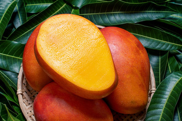 Fresh juicy beautiful mango fruit in bamboo wooden basket on green background by leaves, close up,...
