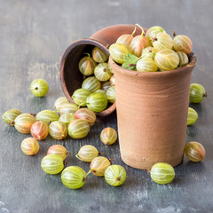 Fresh ripe berries of the gooseberry in a brown glay mug and in a glass on an old wooden table....