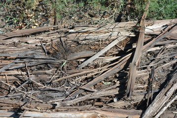 Old black and brown wooden bars from the railway line, broken and cracked by time. Very unique wooden background with unusual color under sunlight.