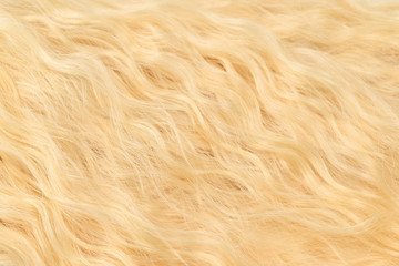 Blond wavy hair pattern. Top view.
