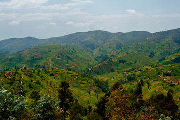 ルワンダの眺め