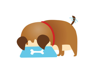 Cute fluffy little dog eating from bowl, side view portrait, flat cartoon vector illustration isolated on white background. White fluffy dog, puppy character eating food from a bowl.