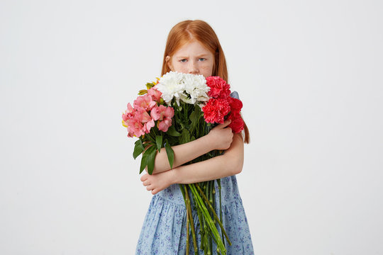 Portrait of little offended freckles red-haired girl, malcontent looks awey, holds bouquet and covers face with him, wears in blue dress, over white background.