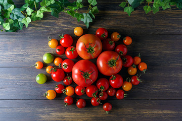 Fototapeta na wymiar 新鮮なトマト