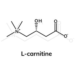 L-carnitine chemical formula on white background