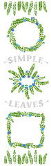 Wattles (acacias) leaves pattern package. Green eco botanical frames set - round, square, wreath, line border.