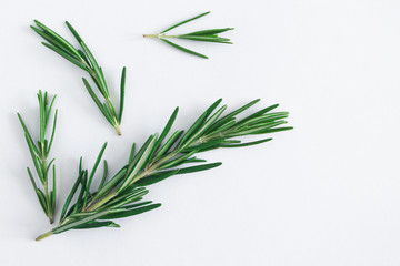 Rosemary sprigs collection close-up on white background, top view