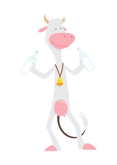 A thin cow drinks milk with a bell on his neck. Illustration of cow drinking milk on white background.